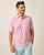 Johnnie-O Original 4-Button Polo - Matthis Stripe - Petal